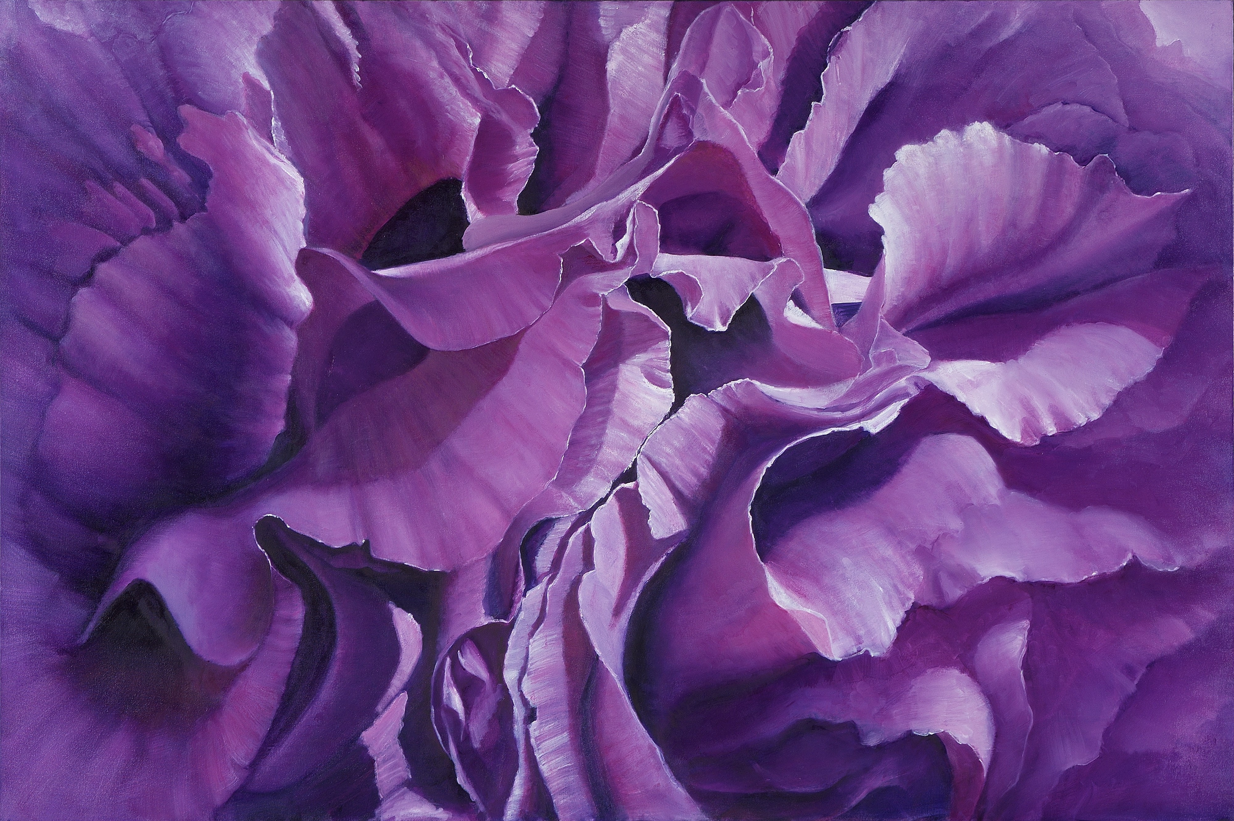 Deep purple 120 x 180 cm Available
