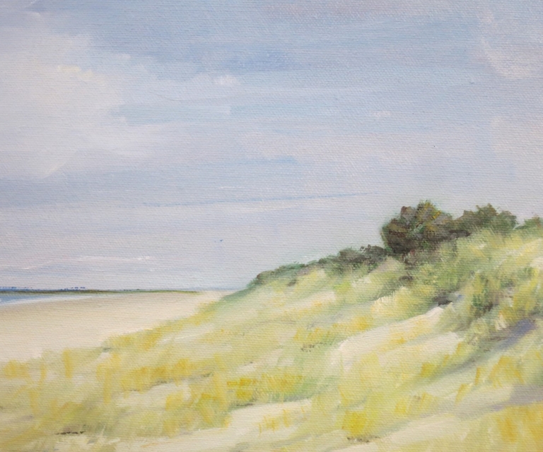 Tennyson dunes